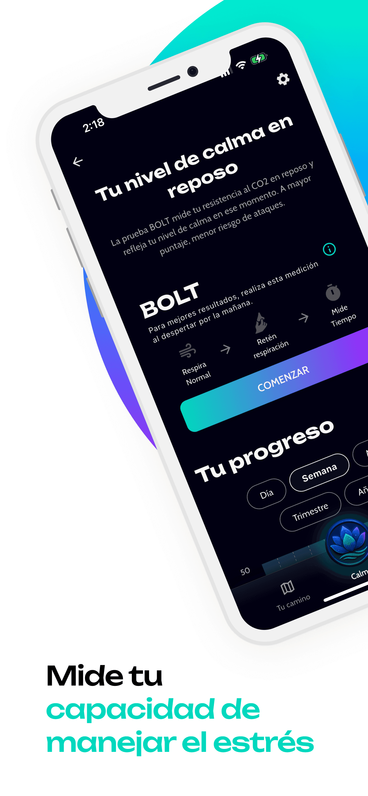Loto BOLT measurement screen